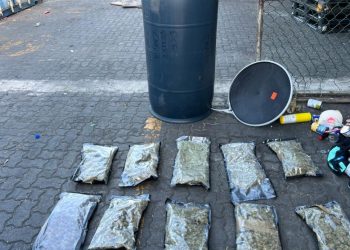 DNCD incauta 32 paquetes de marihuana en Puerto de Haina Oriental