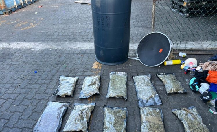 DNCD incauta 32 paquetes de marihuana en Puerto de Haina Oriental