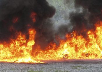 Inacif quema otros 245 kilogramos de drogas incautadas en operativos