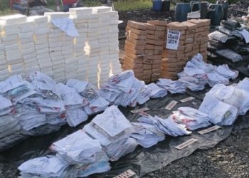 Autoridades incineran cargamento de 491 kg de distintas drogas