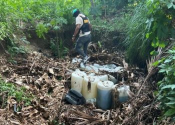 Detienen 14 hombres en operativos de búsqueda y rastreo en Azua