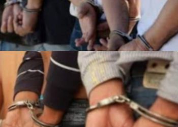 La policía desmantela banda que robó más de 20 motocicletas