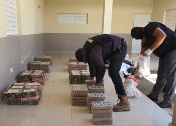 Determinan cargamento decomisado en Pedernales positivo a cocaína