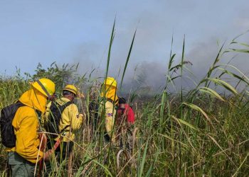 Extinguen incendio en Monumento Natural Lagunas de Cabarete y Goleta de Sosúa