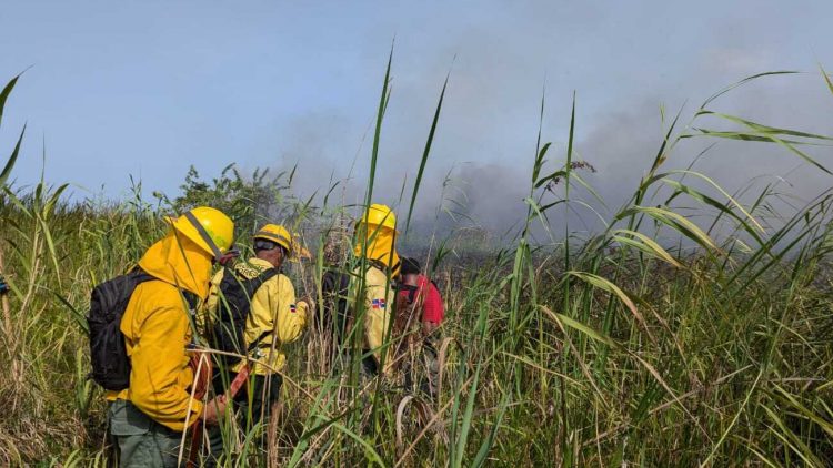 Extinguen incendio en Monumento Natural Lagunas de Cabarete y Goleta de Sosúa