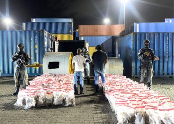 DNCD incauta más de mil libras de marihuana en Puerto de Haina