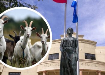 Condenan a 30 años de prisión al ladrón de chivos que hirió al dueño tras ser descubierto en Santiago