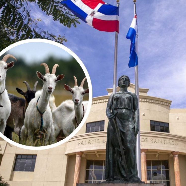 Condenan a 30 años de prisión al ladrón de chivos que hirió al dueño tras ser descubierto en Santiago