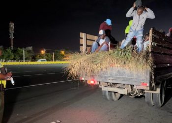 Agente de la Digesett descubre a varios haitianos indocumentados escondidos en un camión