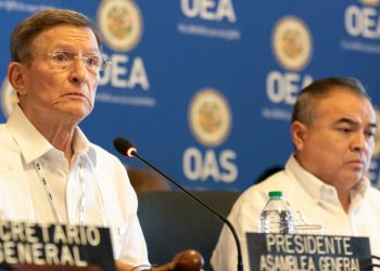 Roberto Álvarez viajará a Paraguay para participar en Asamblea General de la OEA
