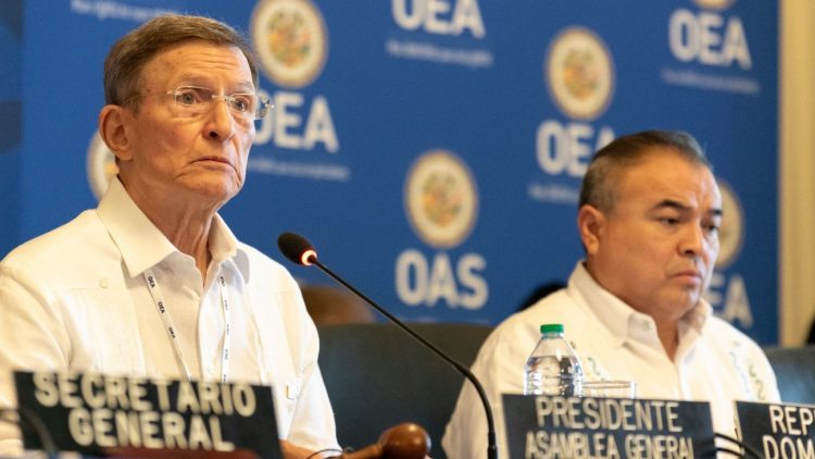 Roberto Álvarez viajará a Paraguay para participar en Asamblea General de la OEA