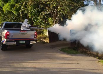 Salud Pública dice refuerza estrategias de prevención contra dengue y malaria