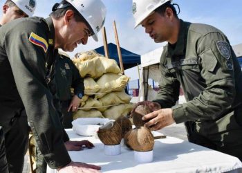 Incautan en Colombia cargamento de cocaína disuelta en cocos procedente de RD