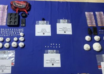 Incautan más de 339 mil gramos de distinta drogas y detienen 1,142 personas