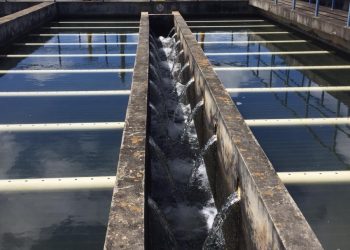 COE reporta 57 acueductos fuera de servicios tras paso del huracán Beryl