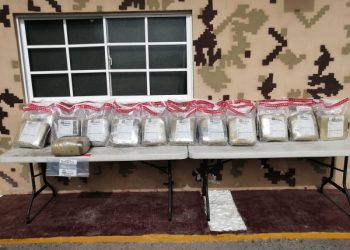 Incautan 268 libras de marihuana camufladas en la cama de un camión en Pedernales