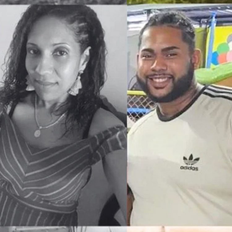 Madre dominicana muere a manos de su hijo en un parque de Manhattan