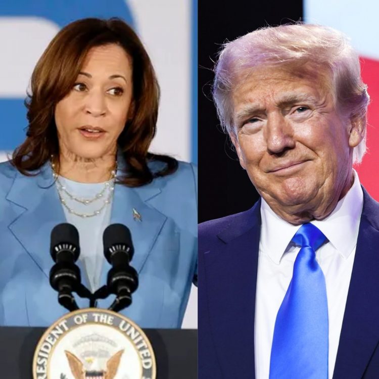 Donald Trump llama “lunática radical” a Kamala Harris en un mitin