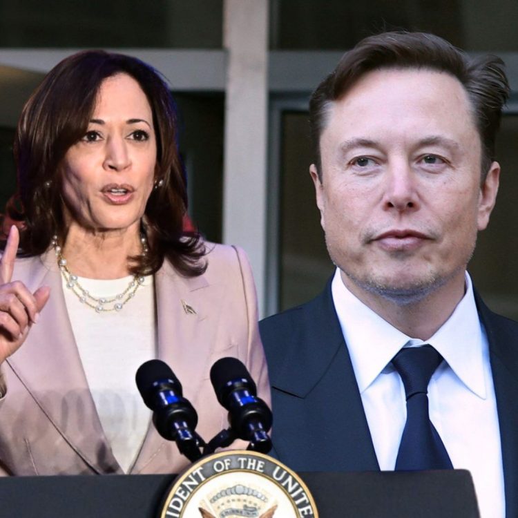 Elon Musk llama mentirosa a la vicepresidenta de Estados Unidos