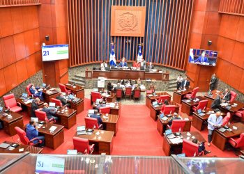 Senado aprueba el Código Penal en segunda lectura