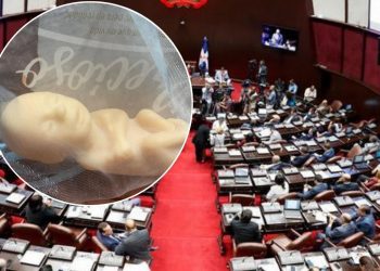 Revuelo en la Cámara de Diputados por cajas con figuras de fetos en las curules