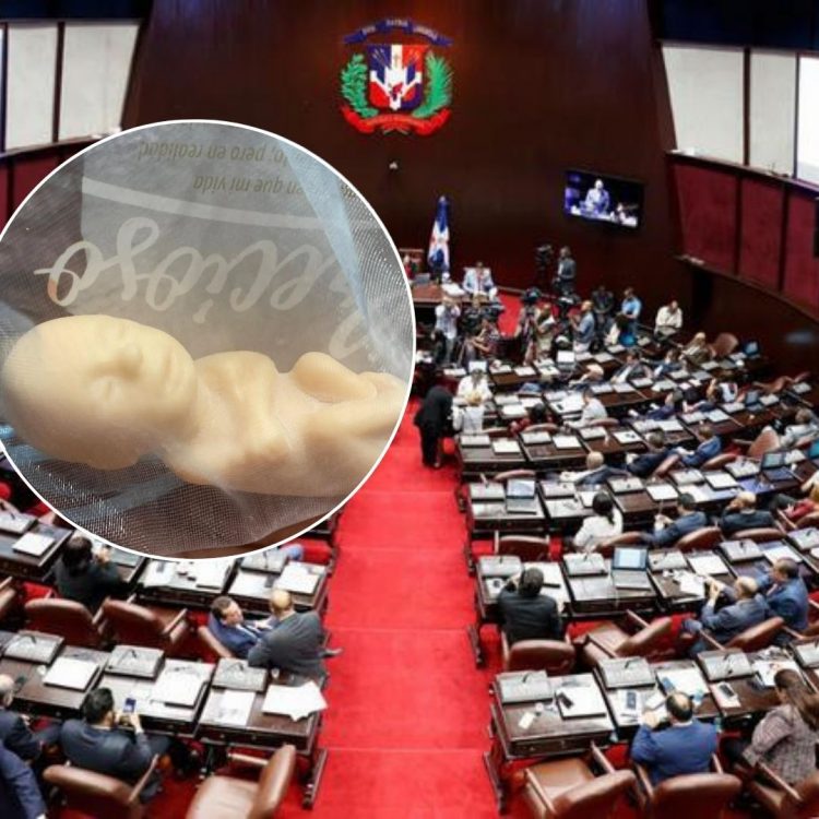 Revuelo en la Cámara de Diputados por cajas con figuras de fetos en las curules