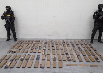 Incautan 663 láminas de cocaína camufladas en contenedor de bananos con destino Bélgica