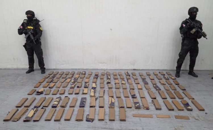 Incautan 663 láminas de cocaína camufladas en contenedor de bananos con destino Bélgica