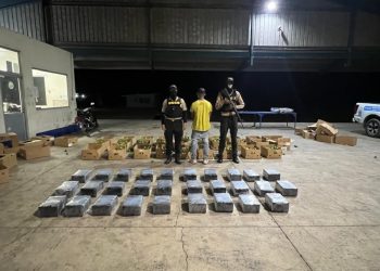 Frustran envío de 201 paquetes de presunta cocaína a Róterdam