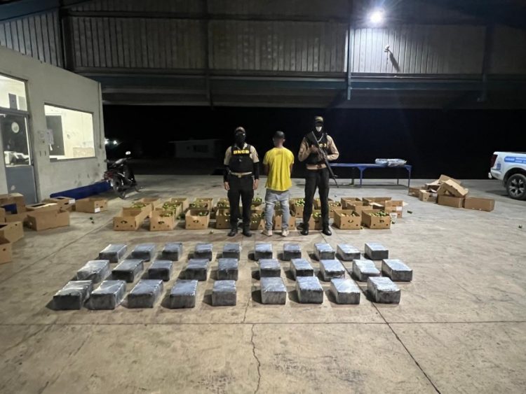 Frustran envío de 201 paquetes de presunta cocaína a Róterdam