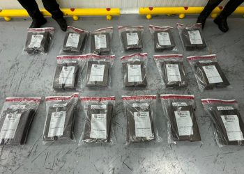 Incautan 204 láminas de presunta cocaína escondidas en carga de guineos con destino a Europa