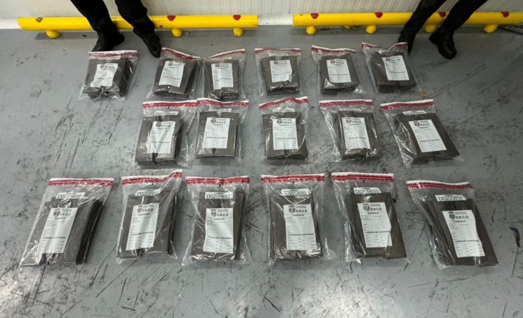 Incautan 204 láminas de presunta cocaína escondidas en carga de guineos con destino a Europa