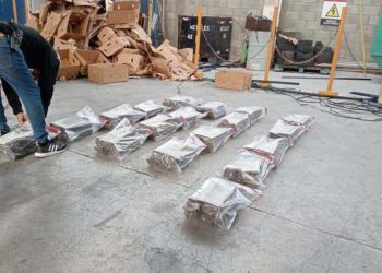 Incautan 360 láminas de presunta cocaína en una carga de guineos