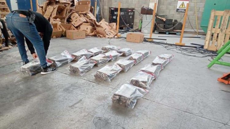 Incautan 360 láminas de presunta cocaína en una carga de guineos