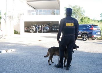 Ponen en marcha la Operación Búfalo NK contra red de narcotráfico internacional