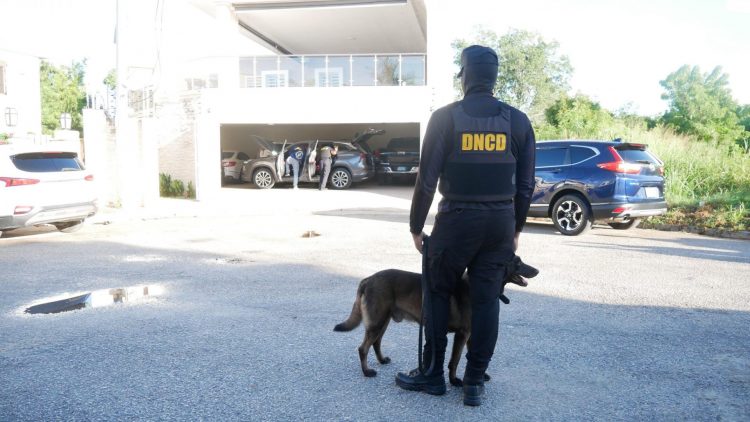 Ponen en marcha la Operación Búfalo NK contra red de narcotráfico internacional