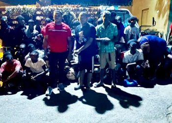 Ejército detiene camión con 38 haitianos escondidos bajo hojas de plátano