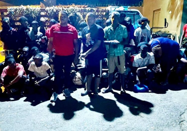 Ejército detiene camión con 38 haitianos escondidos bajo hojas de plátano