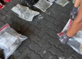 Incautan 29 paquetes de marihuana camuflados en latas de leche y té frío