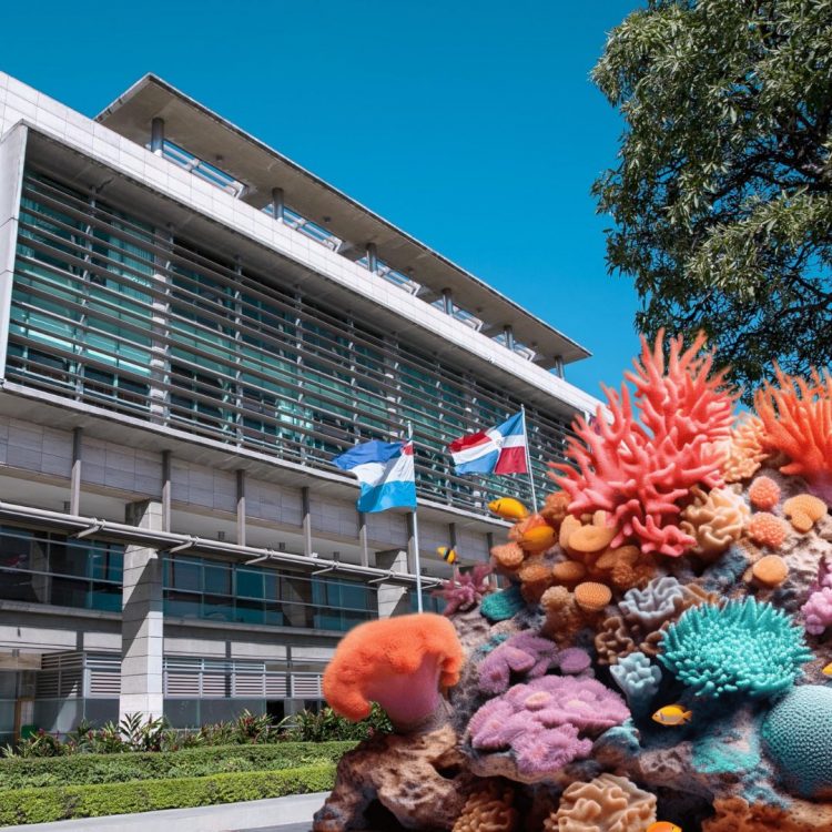 Ratifican la prisión preventiva contra imputados en la Operación Arrecife 2.0