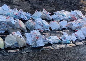 Inacif incinera otros 229 kilogramos de drogas decomisadas en varios operativos