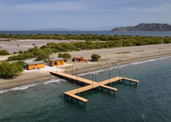 Autoridad Portuaria inicia programa de mantenimiento preventivo de muelles