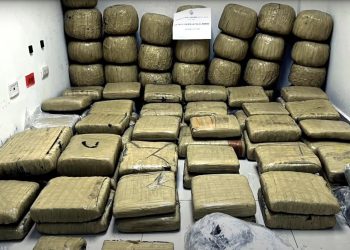 Autoridades mexicanas incautan 750 kilos de marihuana que serían enviados a República Dominicana