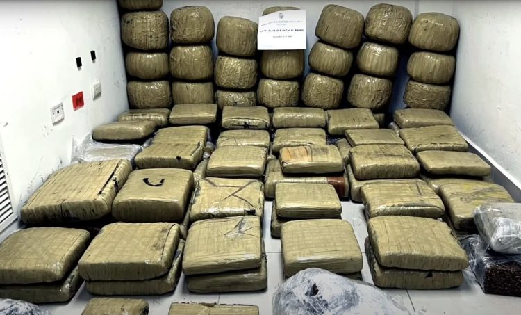 Autoridades mexicanas incautan 750 kilos de marihuana que serían enviados a República Dominicana