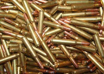 Policía ocupa armas de fuego y municiones introducidas ilegalmente al país