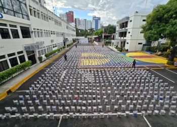 República Dominicana ha decomisado más de 224 toneladas de drogas en los últimos cinco años