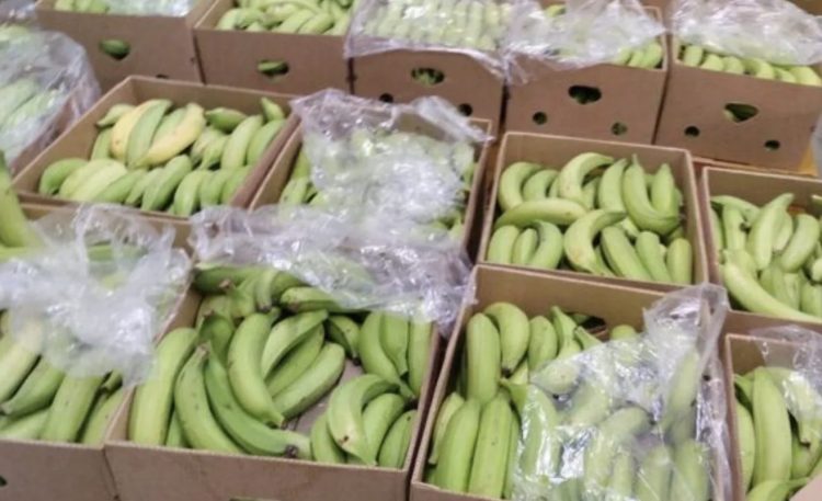 Incautan 3.5 toneladas de cocaína en Portugal