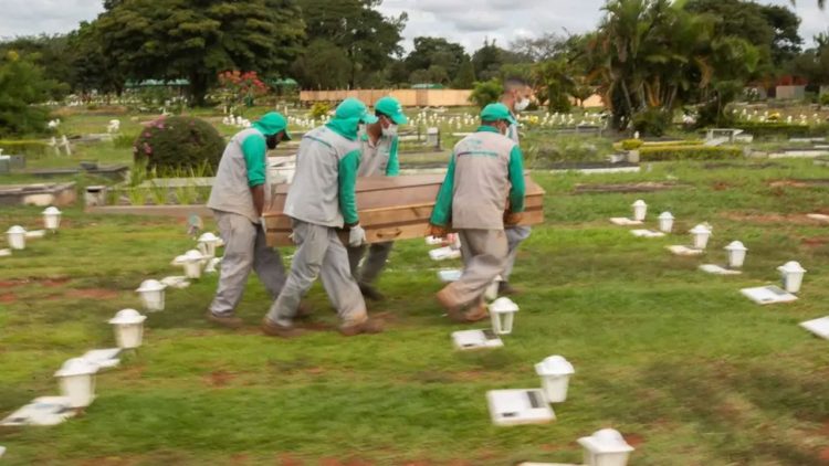 OMS confirma 7 millones de muertes por COVID en cinco años