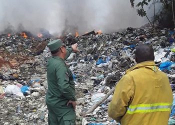 Medio Ambiente refuerza fiscalización con más de 5,000 operativos, según el Senpa