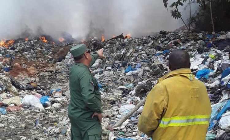 Medio Ambiente refuerza fiscalización con más de 5,000 operativos, según el Senpa